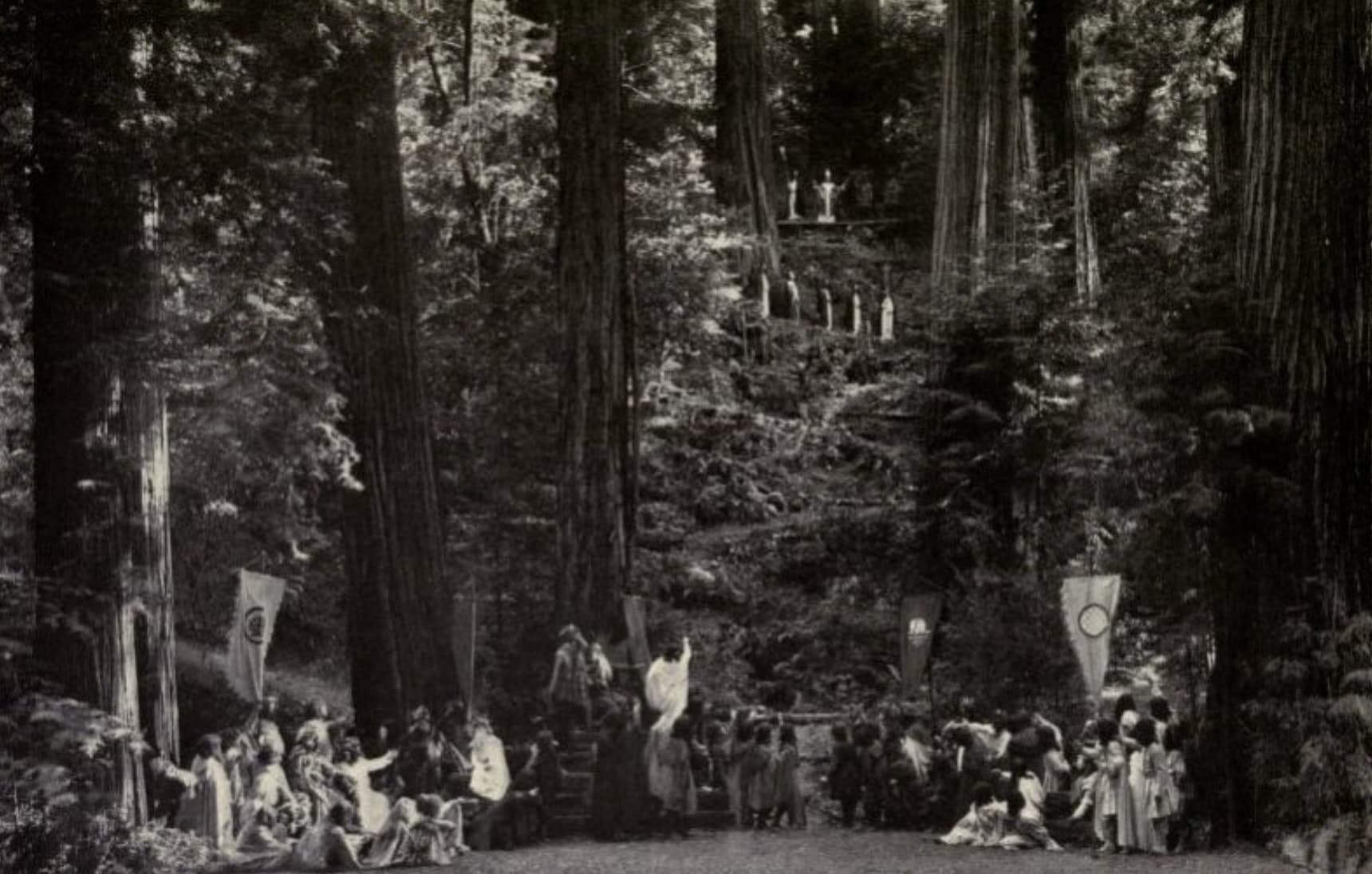 Bohemian Grove